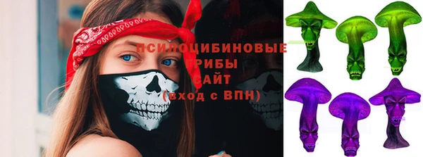 PSILOCYBIN Наволоки