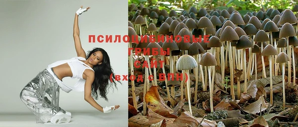 PSILOCYBIN Наволоки