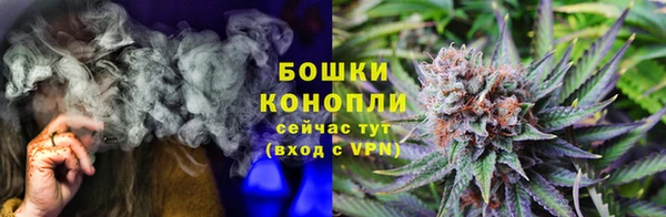 ПСИЛОЦИБИНОВЫЕ ГРИБЫ Навашино