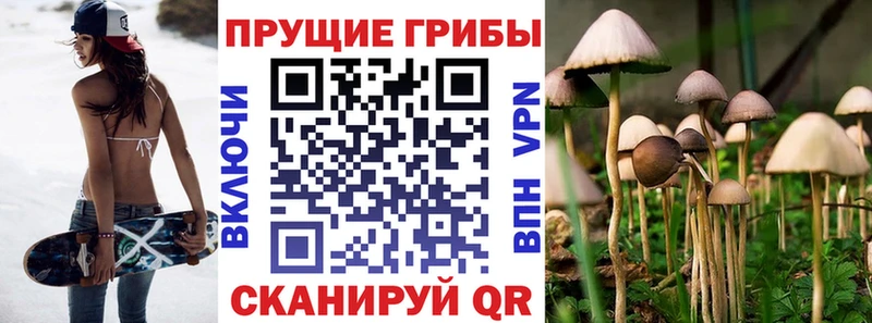 Псилоцибиновые грибы MAGIC MUSHROOMS  Купить  Дагестанские Огни 